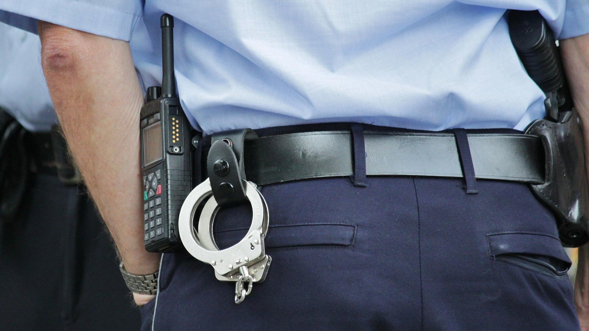 Neu: Tipps und Hilfsmittel für Polizisten zur Remonstration